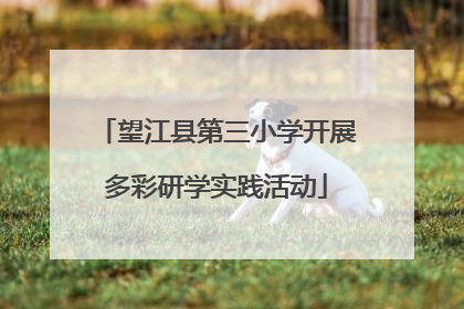 望江县第三小学开展多彩研学实践活动