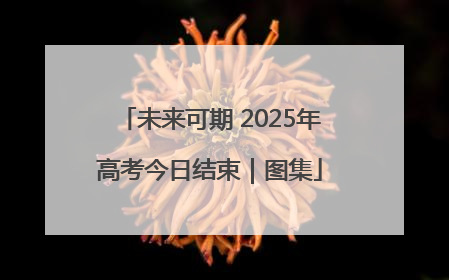未来可期 2025年高考今日结束｜图集