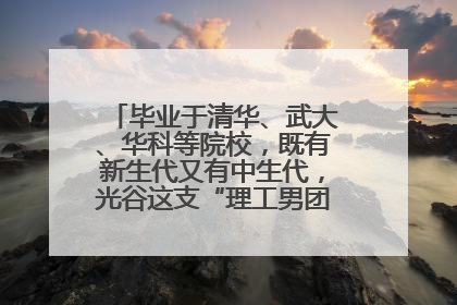 毕业于清华、武大、华科等院校，既有新生代又有中生代，光谷这支“理工男团”为何“出道”？