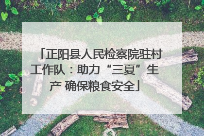 正阳县人民检察院驻村工作队：助力“三夏”生产 确保粮食安全