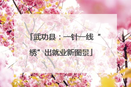 武功县：一针一线“绣”出就业新图景
