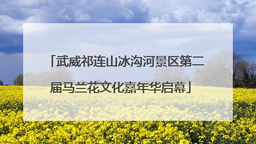 武威祁连山冰沟河景区第二届马兰花文化嘉年华启幕