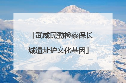 武威民勤检察保长城遗址护文化基因