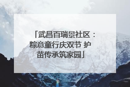 武昌百瑞景社区：粽意童行庆双节 护苗传承筑家园