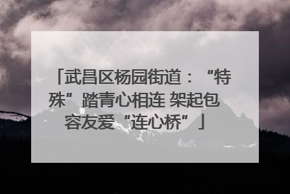 武昌区杨园街道：“特殊”踏青心相连 架起包容友爱“连心桥”