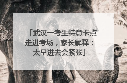 武汉一考生特意卡点走进考场，家长解释：太早进去会紧张
