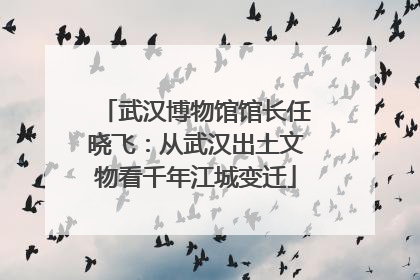 武汉博物馆馆长任晓飞：从武汉出土文物看千年江城变迁