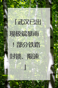武汉已出现极端暴雨！部分铁路封锁、限速