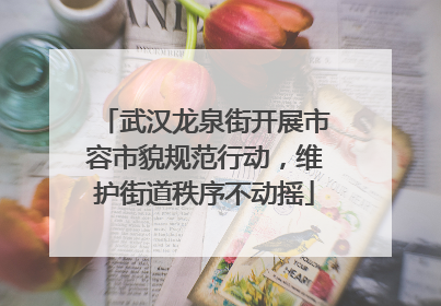 武汉龙泉街开展市容市貌规范行动，维护街道秩序不动摇