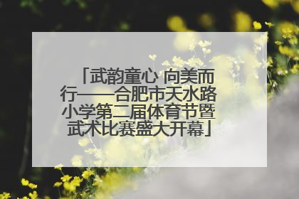 武韵童心 向美而行——合肥市天水路小学第二届体育节暨武术比赛盛大开幕