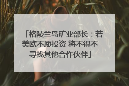 格陵兰岛矿业部长：若美欧不愿投资 将不得不寻找其他合作伙伴