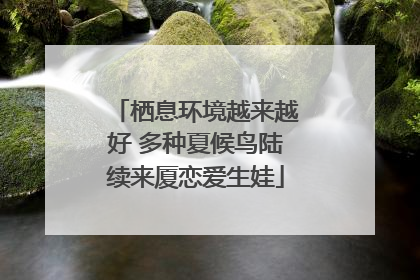 栖息环境越来越好 多种夏候鸟陆续来厦恋爱生娃