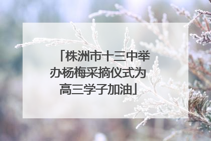 株洲市十三中举办杨梅采摘仪式为高三学子加油