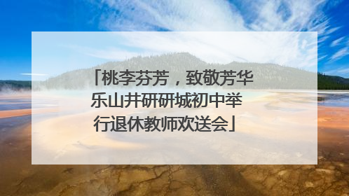 桃李芬芳，致敬芳华 乐山井研研城初中举行退休教师欢送会