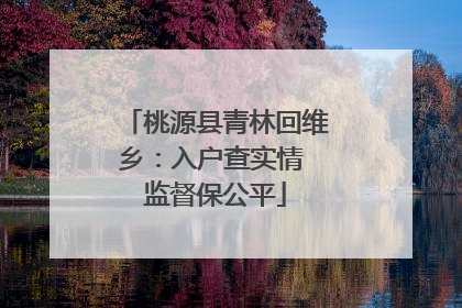 桃源县青林回维乡：入户查实情 监督保公平