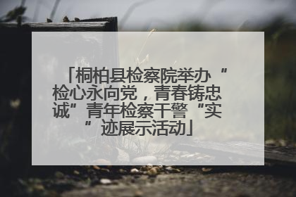 桐柏县检察院举办“检心永向党，青春铸忠诚”青年检察干警“实”迹展示活动