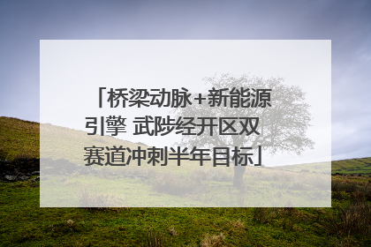 桥梁动脉+新能源引擎 武陟经开区双赛道冲刺半年目标