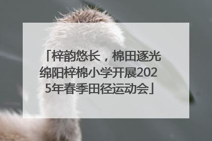 梓韵悠长，棉田逐光 绵阳梓棉小学开展2025年春季田径运动会