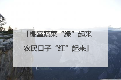 棚室蔬菜“绿”起来 农民日子“红”起来