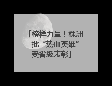 榜样力量！株洲一批“热血英雄”受省级表彰
