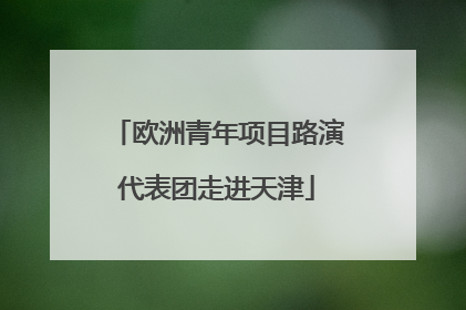 欧洲青年项目路演代表团走进天津