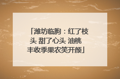 潍坊临朐：红了枝头 甜了心头 油桃丰收季果农笑开颜