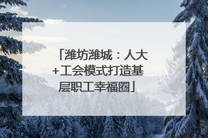 潍坊潍城：人大+工会模式打造基层职工幸福圈