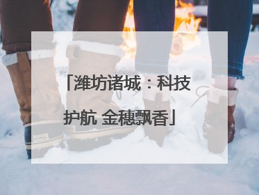 潍坊诸城：科技护航 金穗飘香