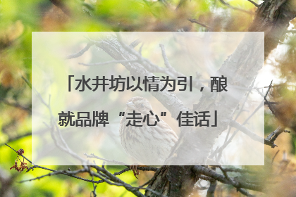 水井坊以情为引，酿就品牌“走心”佳话
