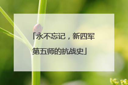 永不忘记，新四军第五师的抗战史