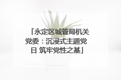 永定区城管局机关党委：沉浸式主题党日 筑牢党性之基