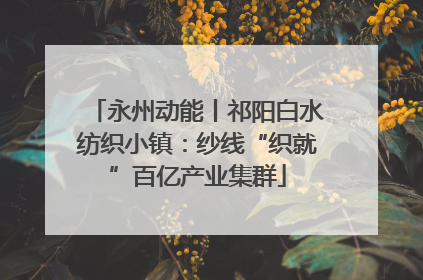 永州动能丨祁阳白水纺织小镇：纱线“织就”百亿产业集群