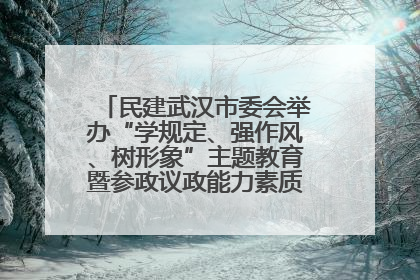 民建武汉市委会举办“学规定、强作风、树形象”主题教育暨参政议政能力素质提升培训班
