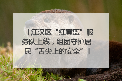 江汉区“红黄蓝”服务队上线，组团守护居民“舌尖上的安全”
