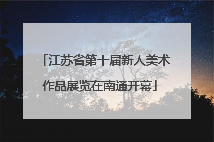 江苏省第十届新人美术作品展览在南通开幕