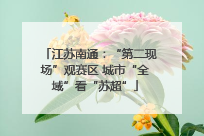 江苏南通：“第二现场”观赛区 城市“全域”看“苏超”
