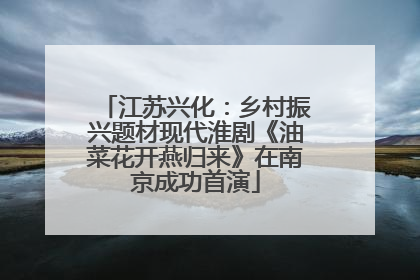 江苏兴化：乡村振兴题材现代淮剧《油菜花开燕归来》在南京成功首演