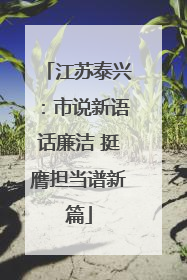 江苏泰兴：市说新语话廉洁 挺膺担当谱新篇