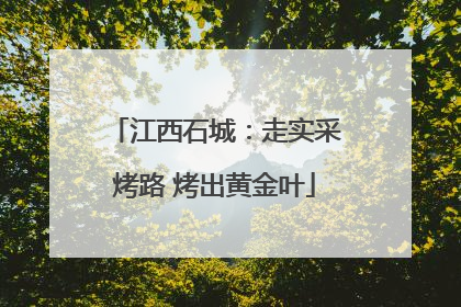 江西石城：走实采烤路 烤出黄金叶