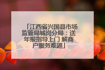 江西省兴国县市场监管局城岗分局：送年报指导上门 解商户服务难题
