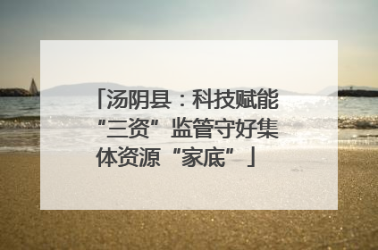 汤阴县：科技赋能“三资”监管守好集体资源“家底”