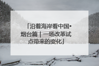 沿着海岸看中国•烟台篇｜一场改革试点带来的变化