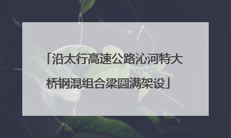沿太行高速公路沁河特大桥钢混组合梁圆满架设