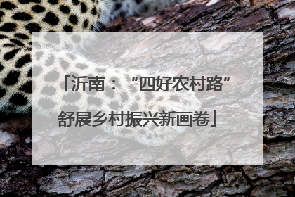 沂南：“四好农村路”舒展乡村振兴新画卷