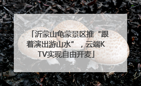 沂蒙山龟蒙景区推“跟着演出游山水”，云端KTV实现自由开麦