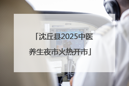 沈丘县2025中医养生夜市火热开市