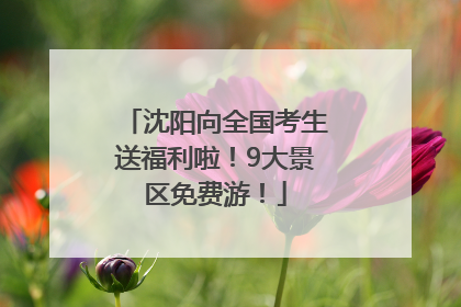 沈阳向全国考生送福利啦！9大景区免费游！