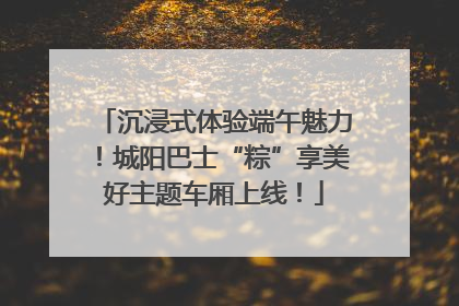 沉浸式体验端午魅力！城阳巴士“粽”享美好主题车厢上线！