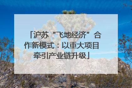 沪苏“飞地经济”合作新模式：以重大项目牵引产业链升级