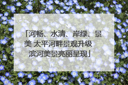 河畅、水清、岸绿、景美 太平河畔景观升级 滨河美景亮丽呈现